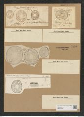 Auliscus sculptus (W. Sm.) Ralfs (de-Toni-Nr.: Genus 171, Species 4357) Zeichnungen Sammlung Grunow Nr. 7920 (NHMW-BOT-W0377195)